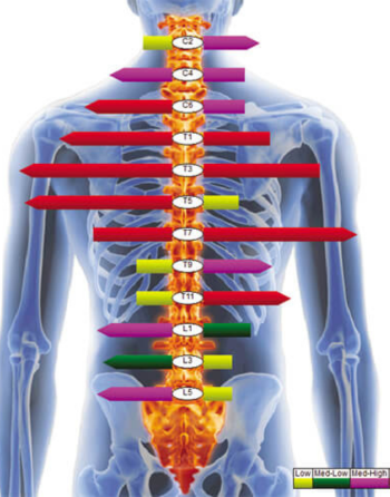 spinal scan